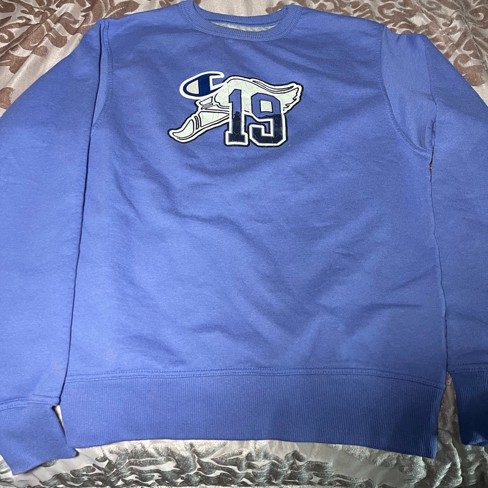 Champion Men's Crewneck Sweater in Light Blue